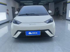 BYD Seagull Glory Edition 405km Flying Edition - ფოტო 2