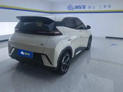 BYD Seagull Glory Edition 405km Flying Edition - ფოტო 3