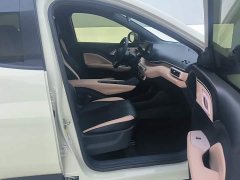BYD Seagull Glory Edition 405km Flying Edition - ფოტო 8