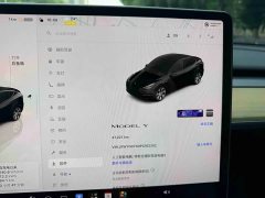 Tesla Model Y 2022 Facelift Rear-Wheel Drive - ფოტო 18