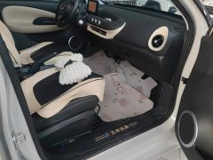 Wuling Binguo 203km Light Enjoy Edition - ფოტო 8