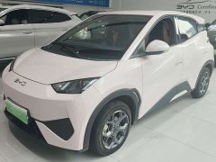 BYD Seagull 305km Vitality Edition - ფოტო 1