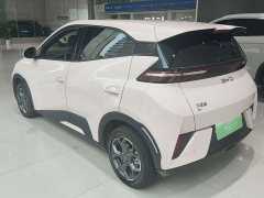 BYD Seagull 305km Vitality Edition - ფოტო 2