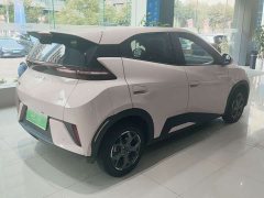 BYD Seagull 305km Vitality Edition - ფოტო 3