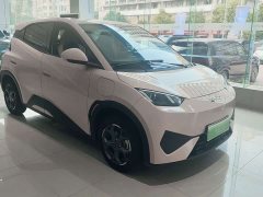 BYD Seagull 305km Vitality Edition - ფოტო 4