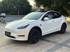 Tesla Model Y Rear-Wheel Drive - ფოტო 1