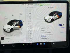 Tesla Model Y Rear-Wheel Drive - ფოტო 10