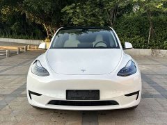Tesla Model Y Rear-Wheel Drive - ფოტო 2