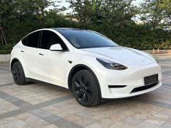 Tesla Model Y Rear-Wheel Drive - ფოტო 3