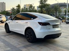Tesla Model Y Rear-Wheel Drive - ფოტო 7