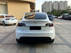 Tesla Model Y Rear-Wheel Drive - ფოტო 8