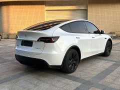Tesla Model Y Rear-Wheel Drive - ფოტო 9