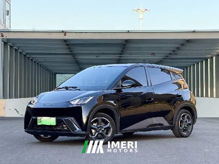 BYD Seagull Freedom Edition - ავტომობილი ჩინეთიდან