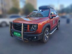 Great Wall Dachshund 1.5T DCT Two-Wheel Drive Labrador Edition - ფოტო 1