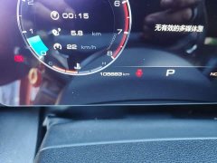 Great Wall Dachshund 1.5T DCT Two-Wheel Drive Labrador Edition - ფოტო 13