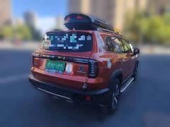Great Wall Dachshund 1.5T DCT Two-Wheel Drive Labrador Edition - ფოტო 6
