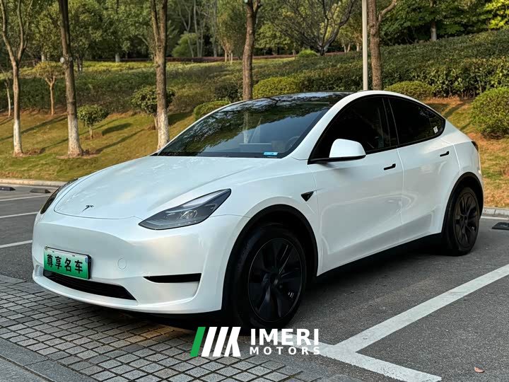 Tesla Model Y Rear-Wheel Drive - ავტომობილი ჩინეთიდან