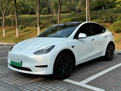 Tesla Model Y Rear-Wheel Drive - ფოტო 1