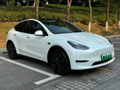 Tesla Model Y Rear-Wheel Drive - ფოტო 3