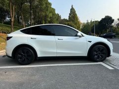 Tesla Model Y Rear-Wheel Drive - ფოტო 4
