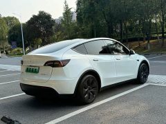 Tesla Model Y Rear-Wheel Drive - ფოტო 5
