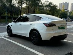 Tesla Model Y Rear-Wheel Drive - ფოტო 6