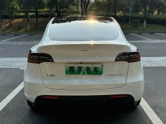 Tesla Model Y Rear-Wheel Drive - ფოტო 7
