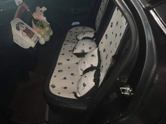 Changan X5 PLUS 1.5T DCT Excellence Edition - ფოტო 11