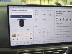Li Auto L8 Max - ფოტო 7