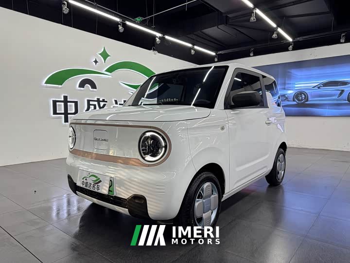 Geely Panda Mini 200km Endurance Edition - ავტომობილი ჩინეთიდან
