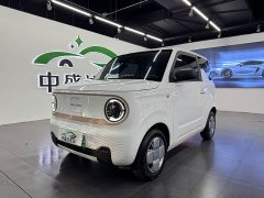 Geely Panda Mini 200km Endurance Edition - ფოტო 1
