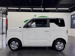 Geely Panda Mini 200km Endurance Edition - ფოტო 2