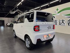 Geely Panda Mini 200km Endurance Edition - ფოტო 3