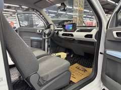 Geely Panda Mini 200km Endurance Edition - ფოტო 8