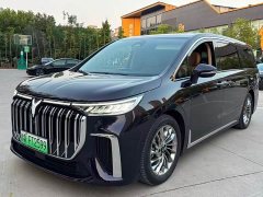 Voyah Lantu Dreamchaser 2024 PHEV Ultra-Long Range Flagship - ფოტო 1