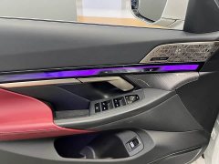 BMW 5 Series 530Li Luxury M Sport Package - ფოტო 10