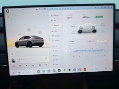 Nio Lerado L60 2024 60kWh Rear-Wheel Drive - ფოტო 11