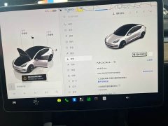 Tesla Model 3 2022 Rear-Wheel Drive - ფოტო 14