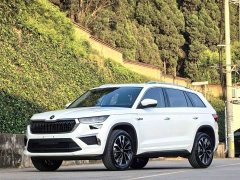 Skoda Kodiaq TSI330 5-Seater FWD Luxury Edition - ფოტო 1