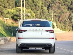 Skoda Kodiaq TSI330 5-Seater FWD Luxury Edition - ფოტო 11