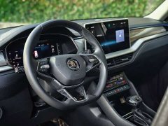 Skoda Kodiaq TSI330 5-Seater FWD Luxury Edition - ფოტო 5