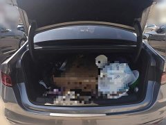 BYD Qin Plus Glory Edition DM-i 120KM Leading - ფოტო 15