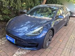 Tesla Model 3 Standard Range RWD Upgrade - ფოტო 1