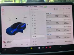 Tesla Model 3 Standard Range RWD Upgrade - ფოტო 14