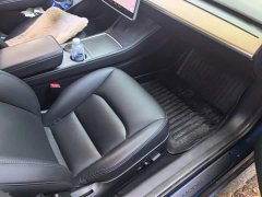 Tesla Model 3 Standard Range RWD Upgrade - ფოტო 8