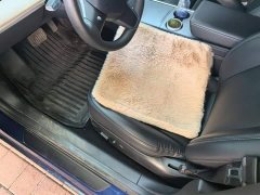Tesla Model 3 Standard Range RWD Upgrade - ფოტო 9