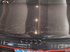 Audi A7L 45 TFSI quattro Luxury - ფოტო 4