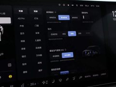 Li Auto L7 Pro - ფოტო 10