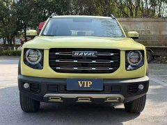 Great Wall Dachshund 1.5T DCT Two-Wheel Drive Border Collie Edition - ფოტო 2