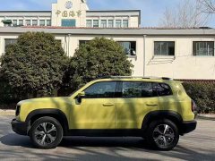 Great Wall Dachshund 1.5T DCT Two-Wheel Drive Border Collie Edition - ფოტო 3